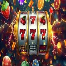 365 bets