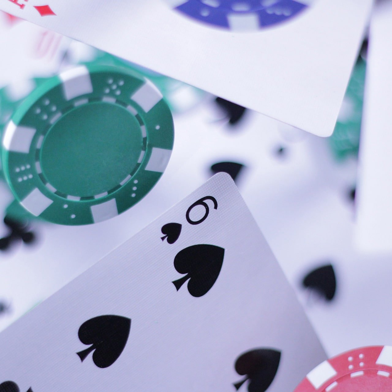 365 bets